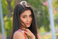 Shriya Beautiful Photos